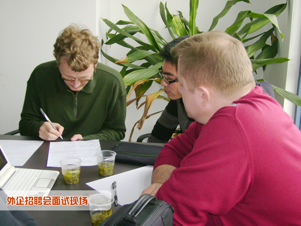 外企招聘会面试现场